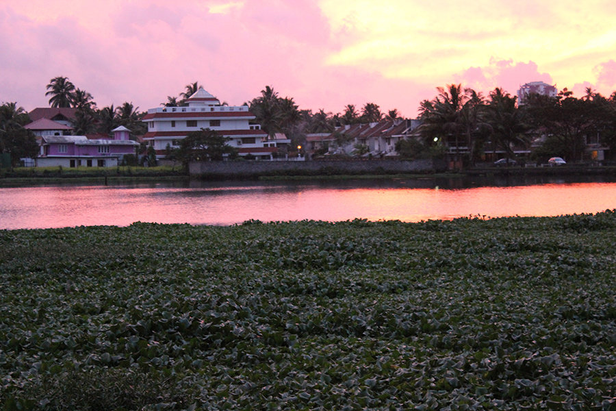 Kerala Muslim Cuisine with a Riverfront View