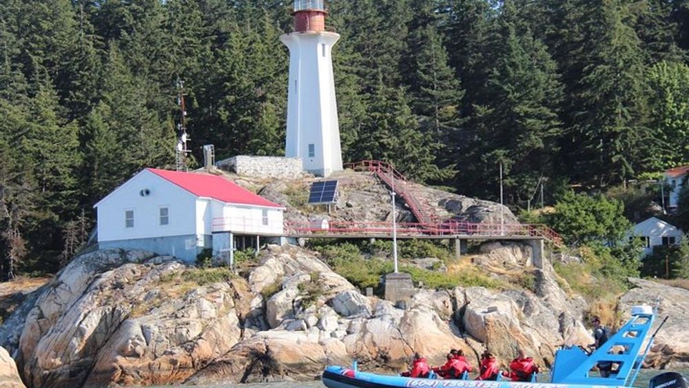 Vancouver City and Seals Scenic Boat Tour by Vancouver Water Adventures