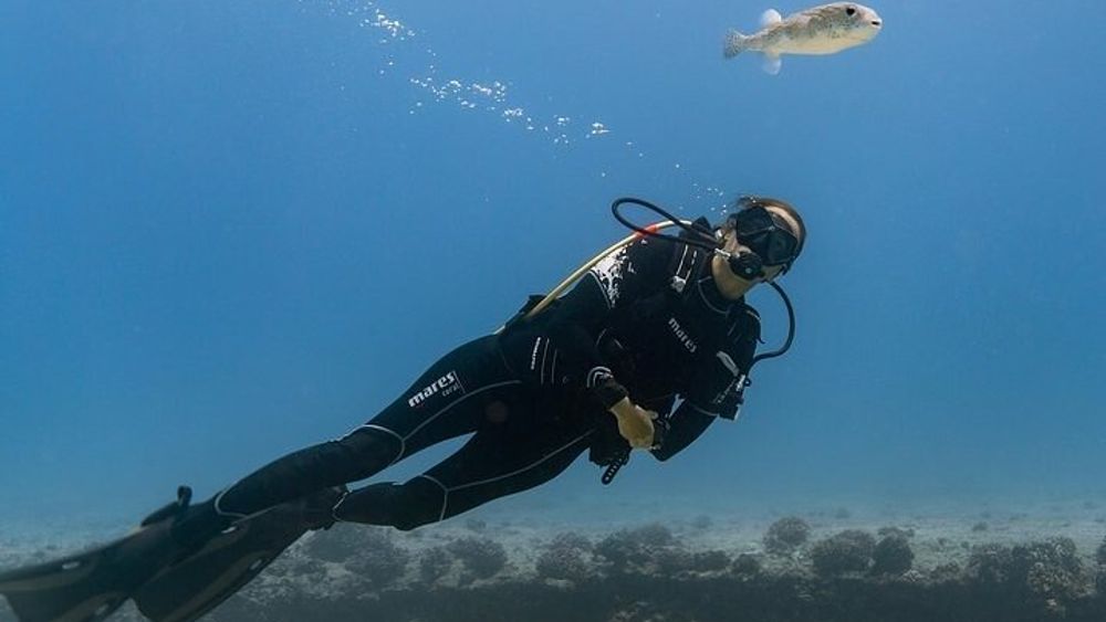 Waikiki Small-Group Beginner Scuba Dive