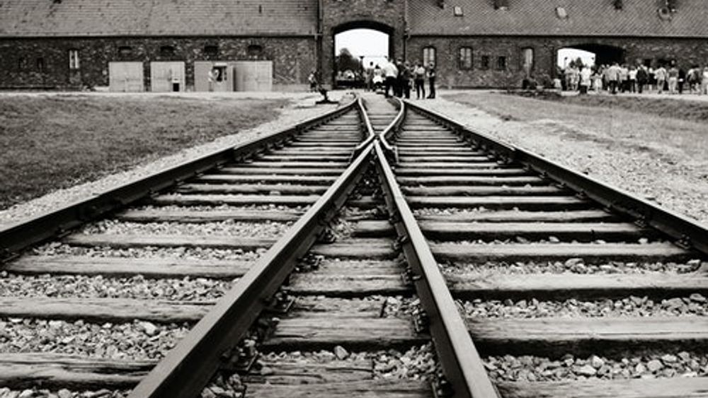 Auschwitz Tour from Krakow: Memorial & Museum + Live Guide