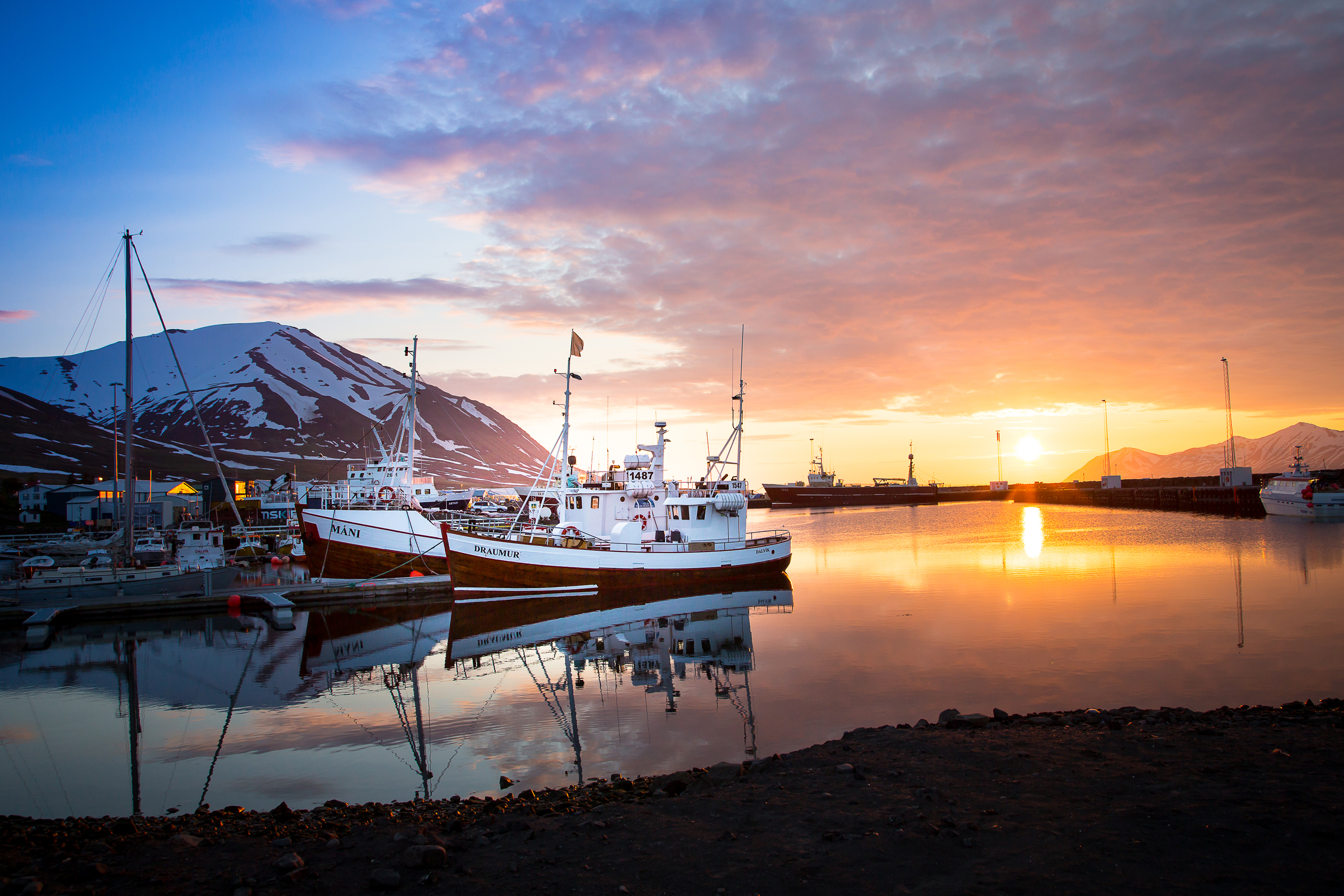 Arctic Whale Watching