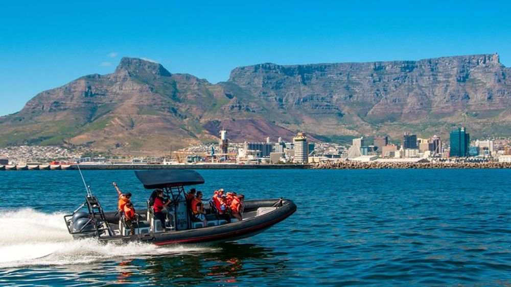 Cape Town Ocean Safari Boat Tour