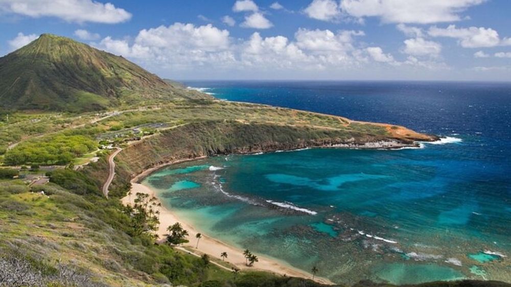 Tour of North Shore & Waimea Waterfall