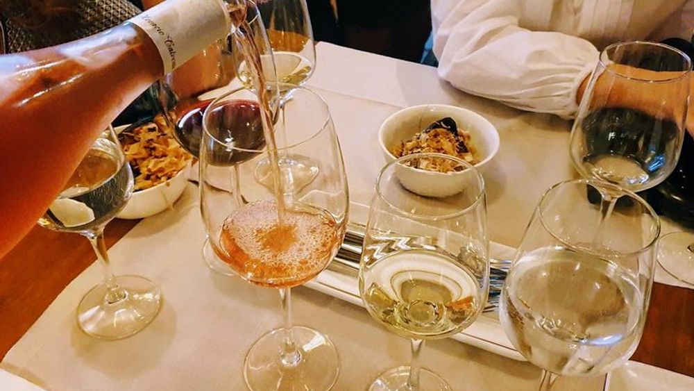 Granada Wine Tasting Experience