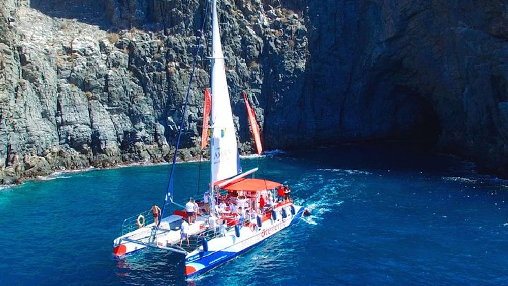 Tenerife Whale and Dolphin Boat Tour