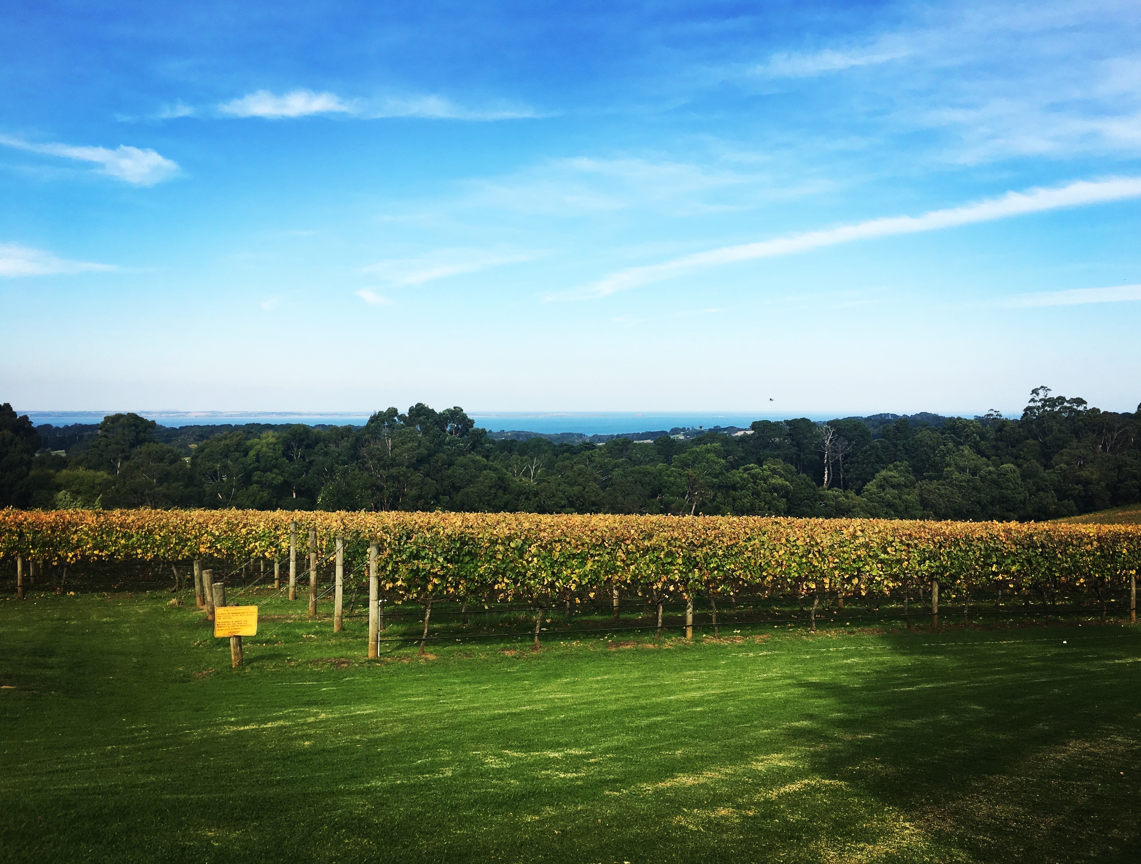 Mornington Peninsula Winery Private Car Tour Including Lunch With A Glass Of Wine
