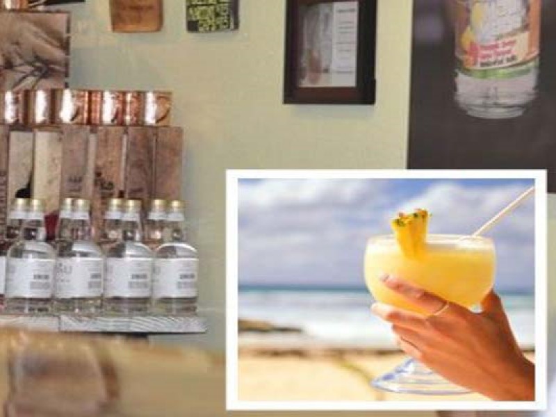 Maui Hawaiian Turtle Watching, Ocean Vodka Distillery & Lavender Farm Tour