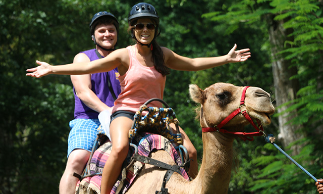 Camel Outback Adventure Tour from Runaway Bay