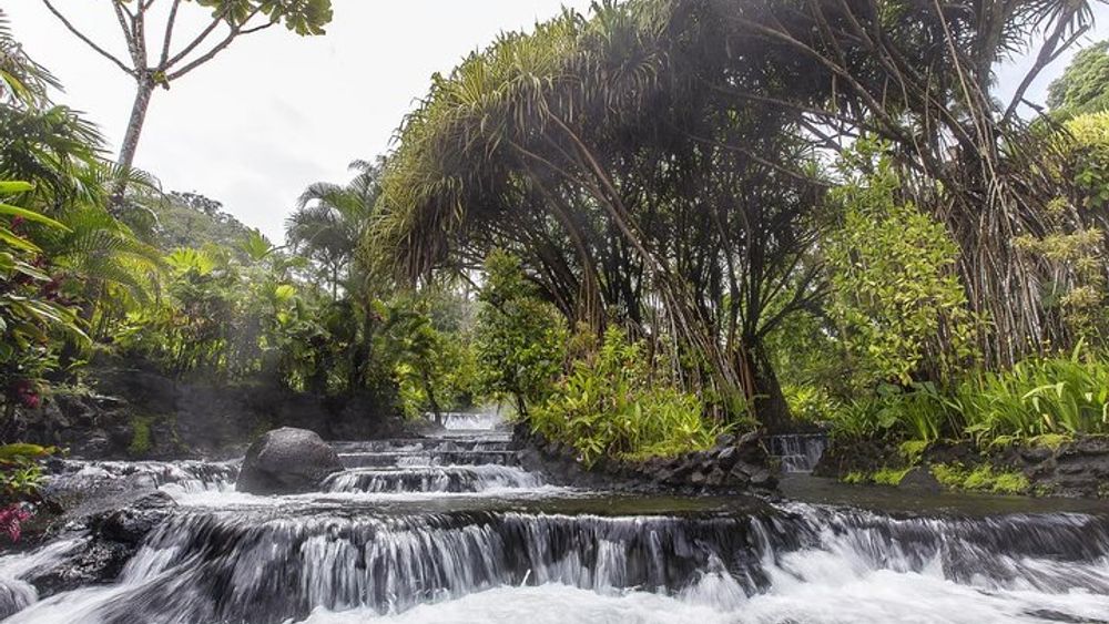 Day Trip from San Jose to Tabacon Hot Springs Resort & Spa