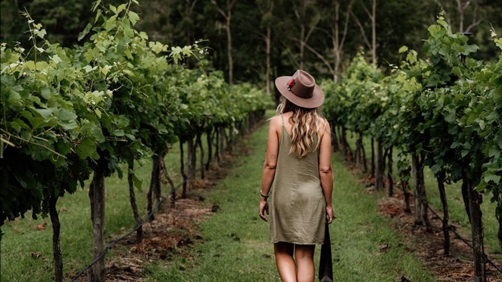 Half-Day Guided Mt. Tamborine Winery Tour