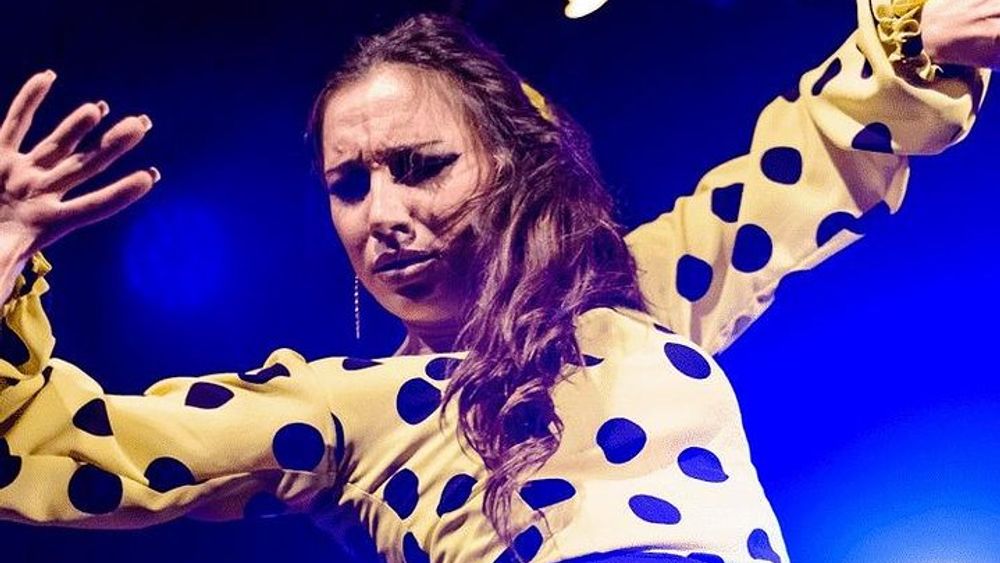 Madrid Tapas and Wine Bar Tasting Tour with Flamenco Show