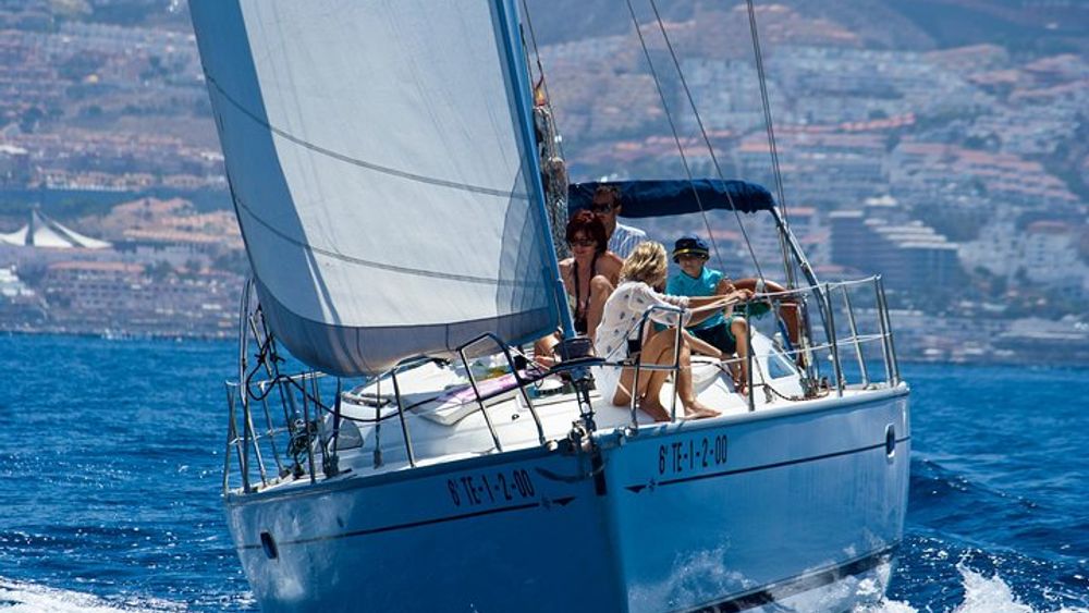Tenerife Cruise with Snorkeling, Whale Watching