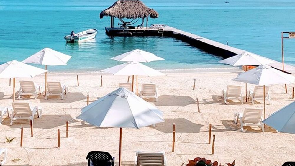 Cartagena: Horseback Riding Along The Beach (Don't Overpay)