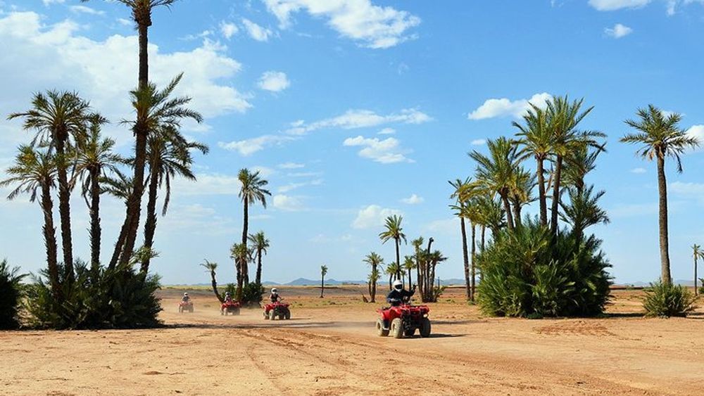 Marrakech Desert and Palm Grove Small-Group Quad Bike Tour
