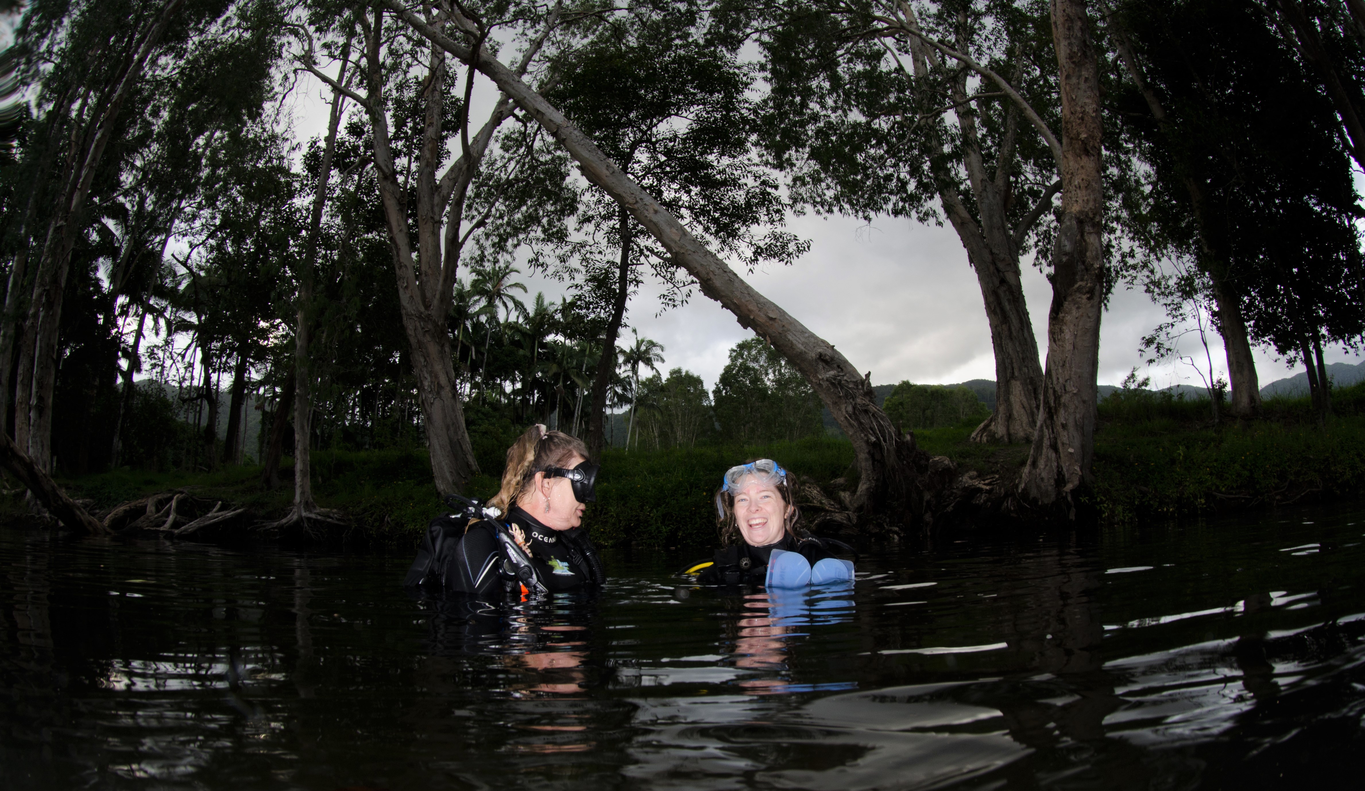Rainforest Night Dive (certified divers only)