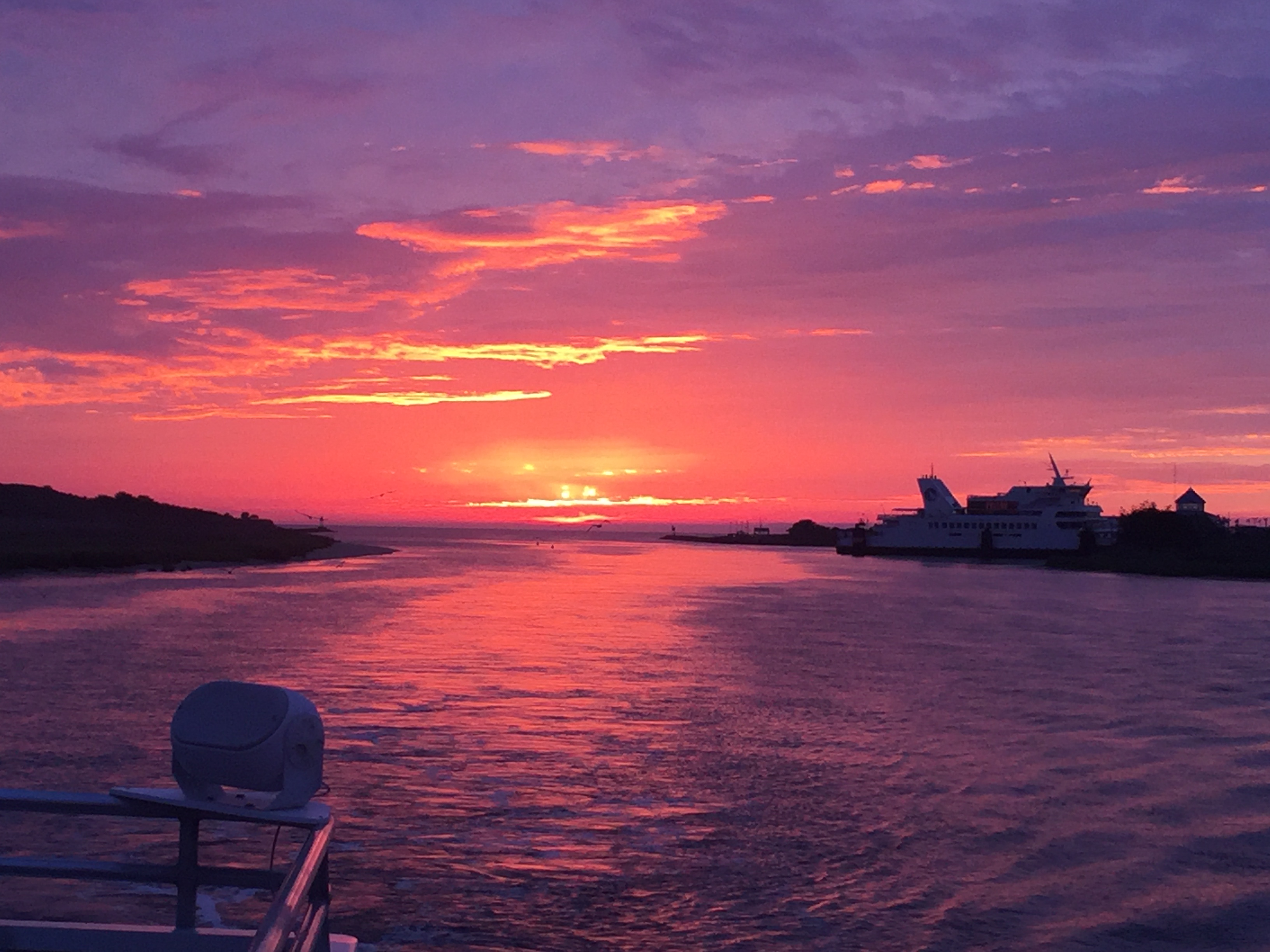 Sunset Dolphin Watch