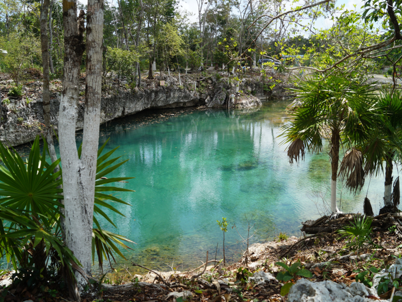 Tulum, Coba, & Cenote: Full-Day Tour