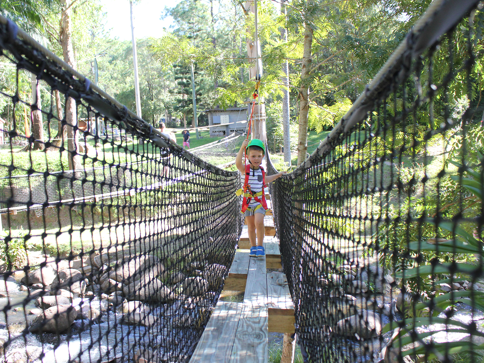 Juniors TreeTop Challenge