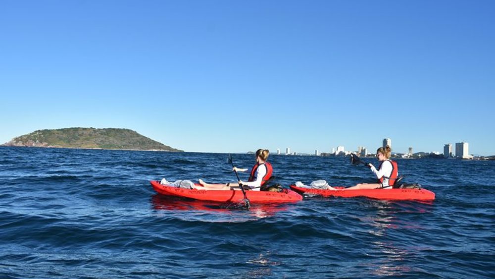 Small-Group Half-Day Deer Island Trip in Mazatlan