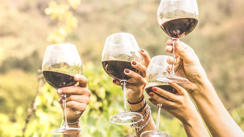 Romanian Wine Tasting