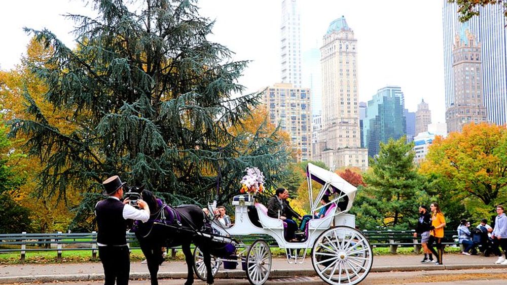 Vip Horse Carriage Ride Through Central Park In Nyc With Photo Stops ...