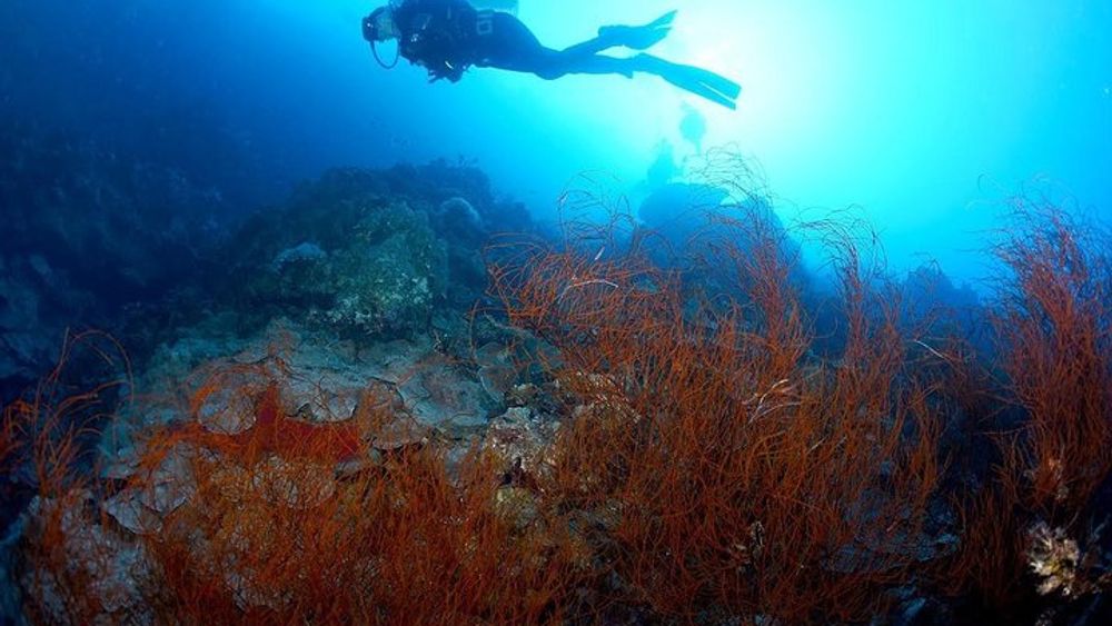 Shore PADI SCUBA Advanced Open Water Course