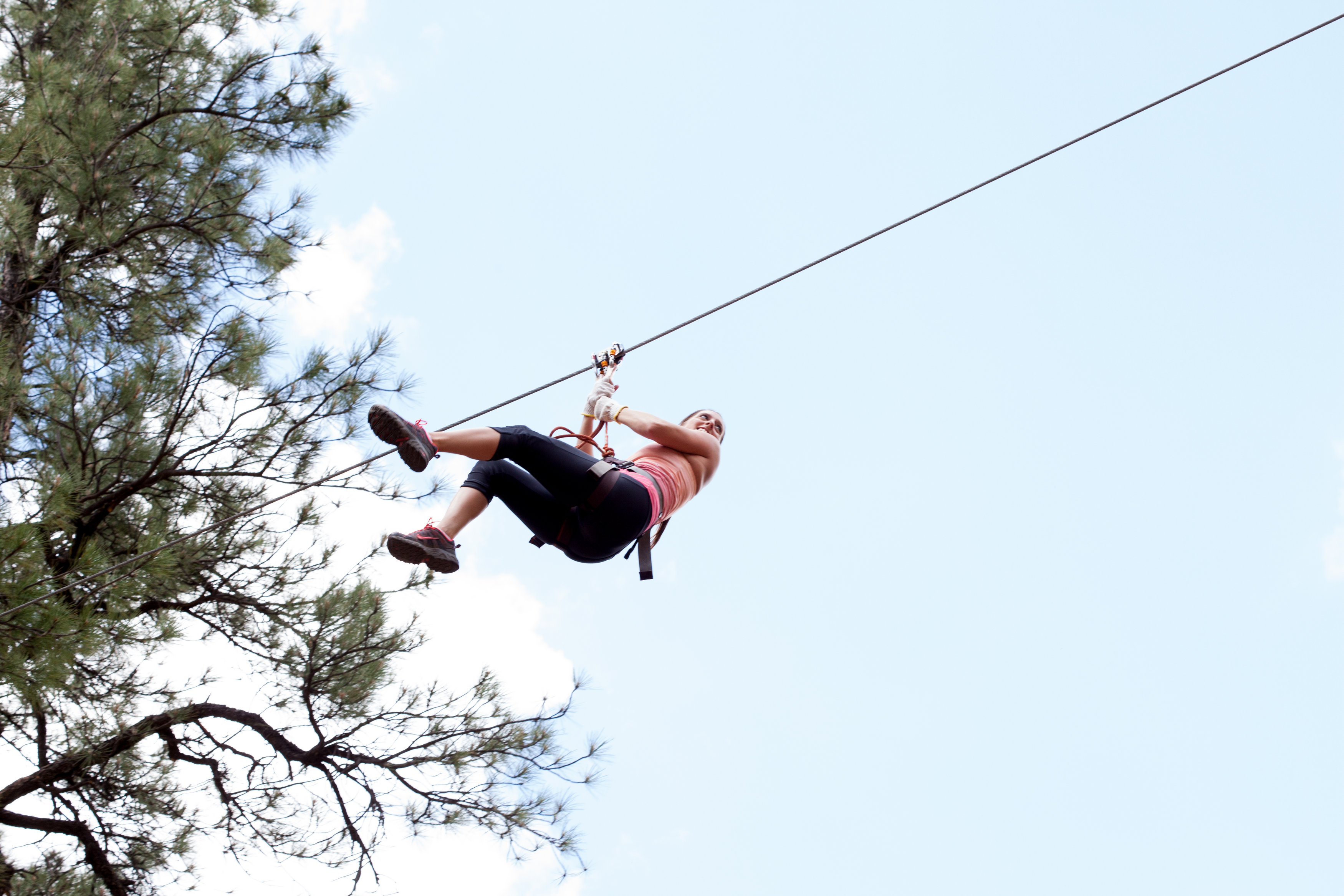 Adventure Ziplines (Adults and ages 12 and up)