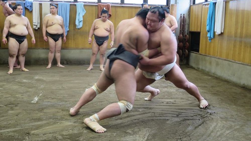 [W/ Sumo Lunch] Tokyo Sumo Morning Practice Tour in Ryogoku