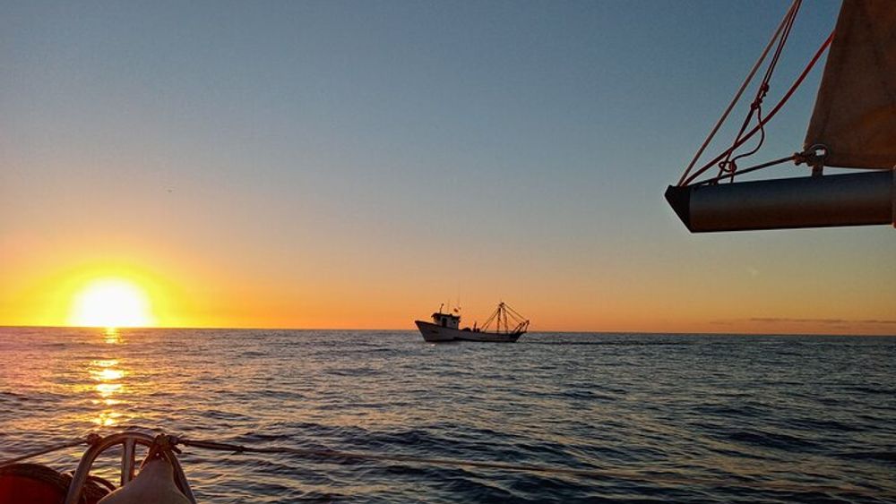 Private Sailing Trip in Costa del Sol from Malaga