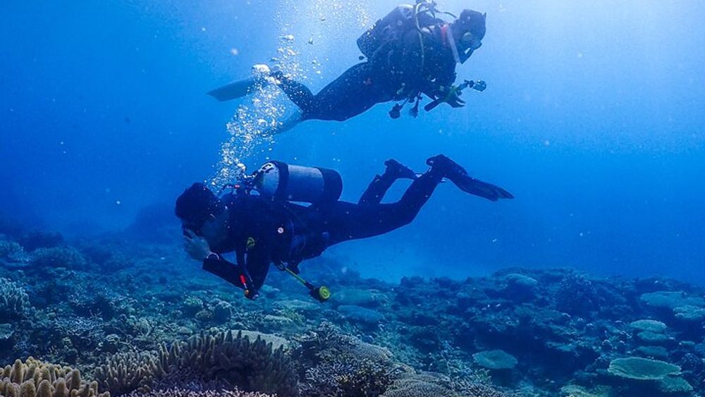 Okinawa Scuba Diving For Certified Divers (3 boat dives + Lunch)