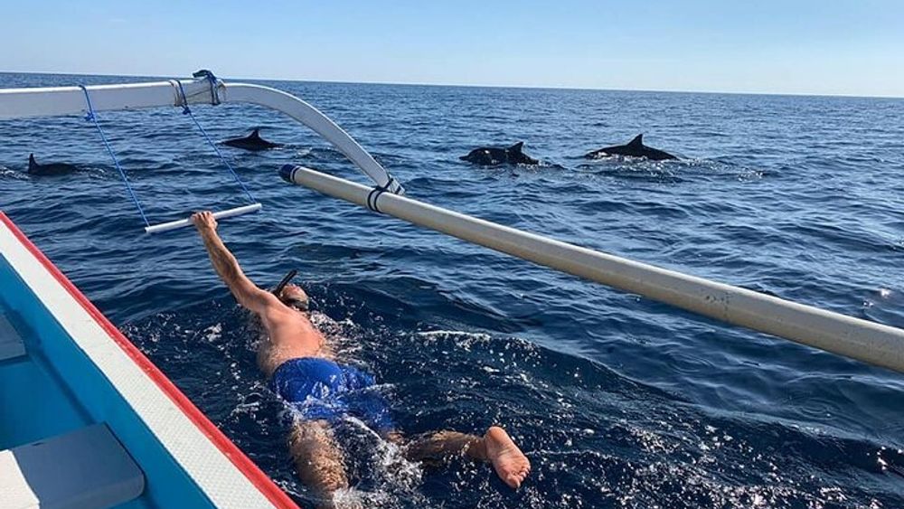 Private Lovina Dolphin Watching, Swimming, and Snorkeling Experience