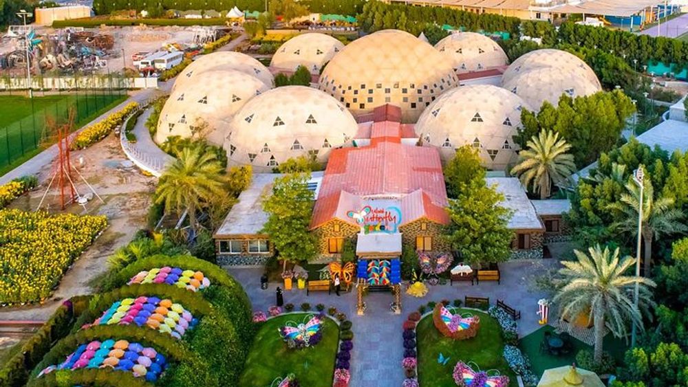 Dubai Butterfly Garden Skip-the-Line Admission