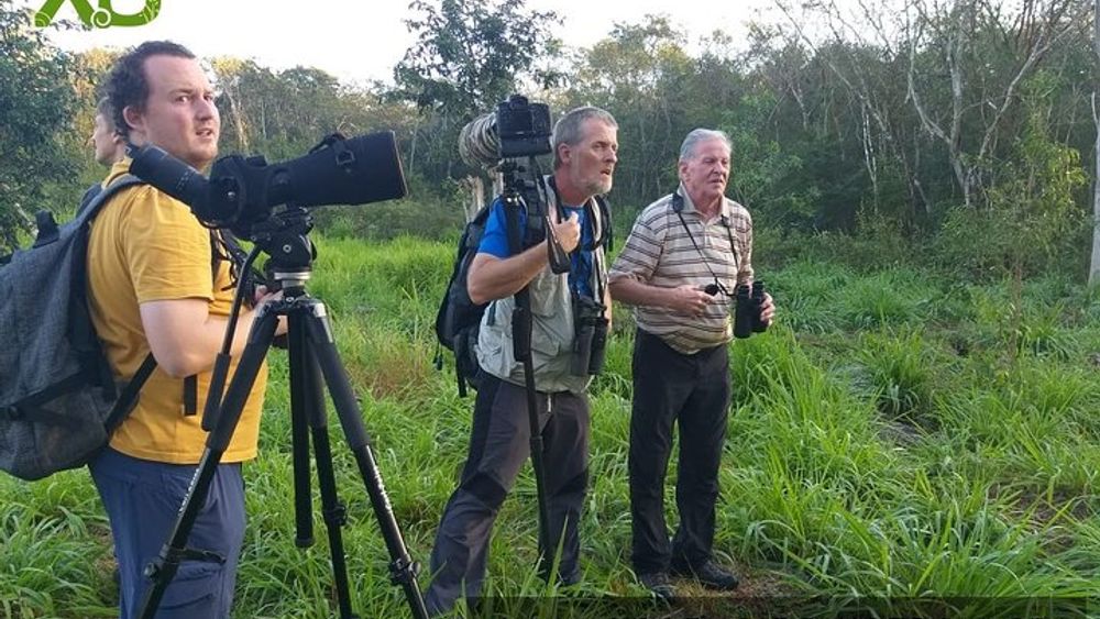 Xocen Birding