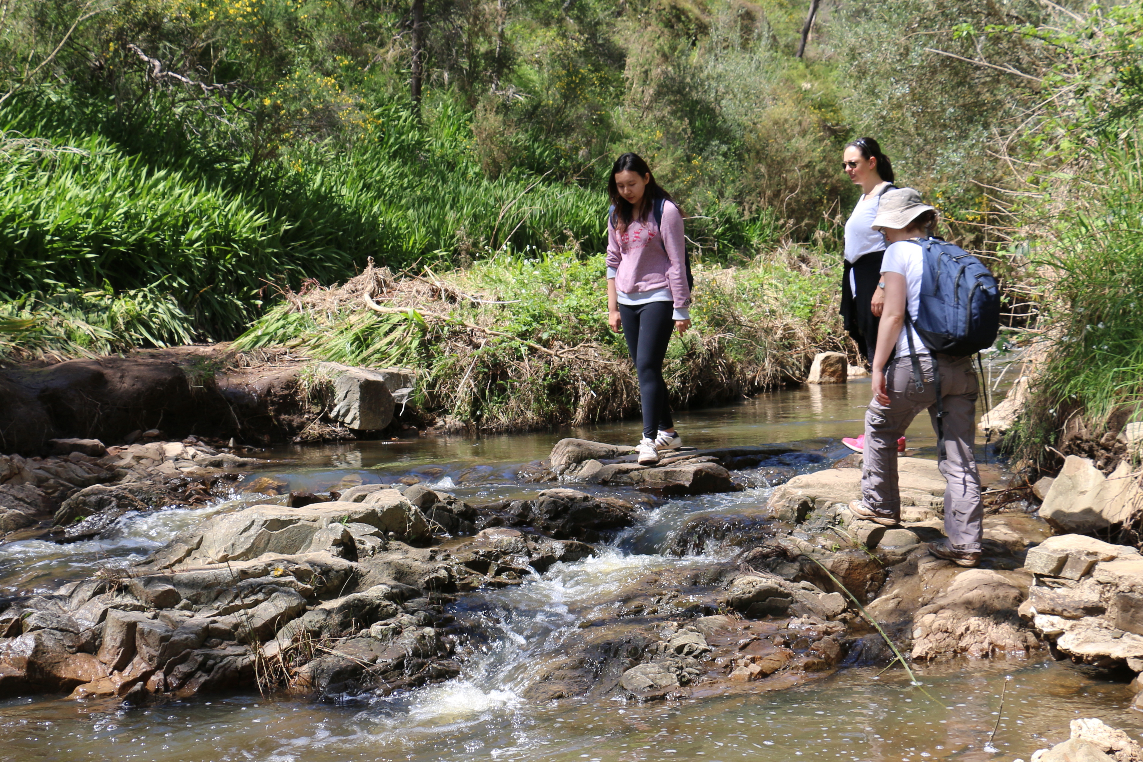 Nature and Wildlife Bushwalk