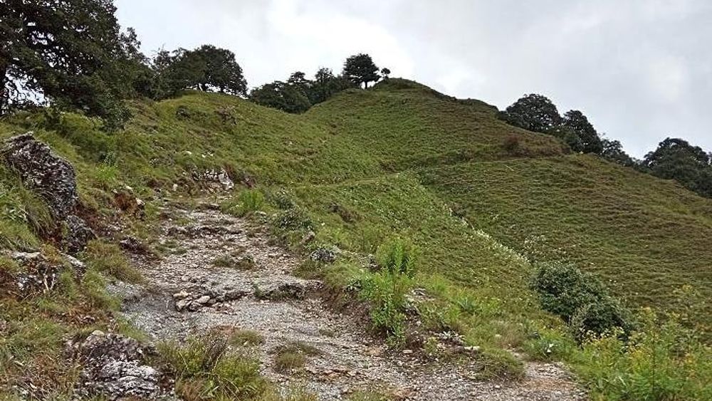 Benog Tibba Nature Trail
