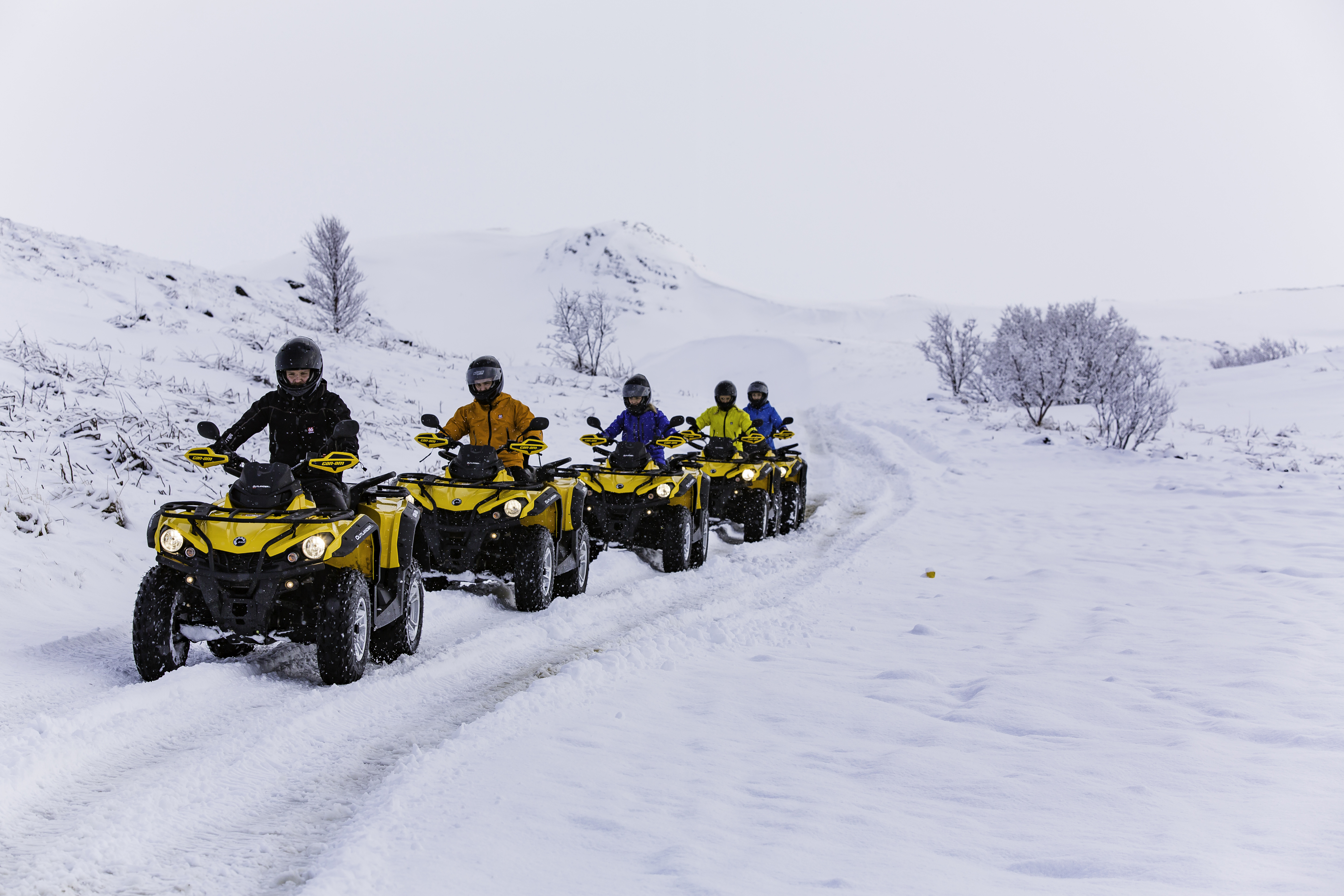 ATV & Whale Watching