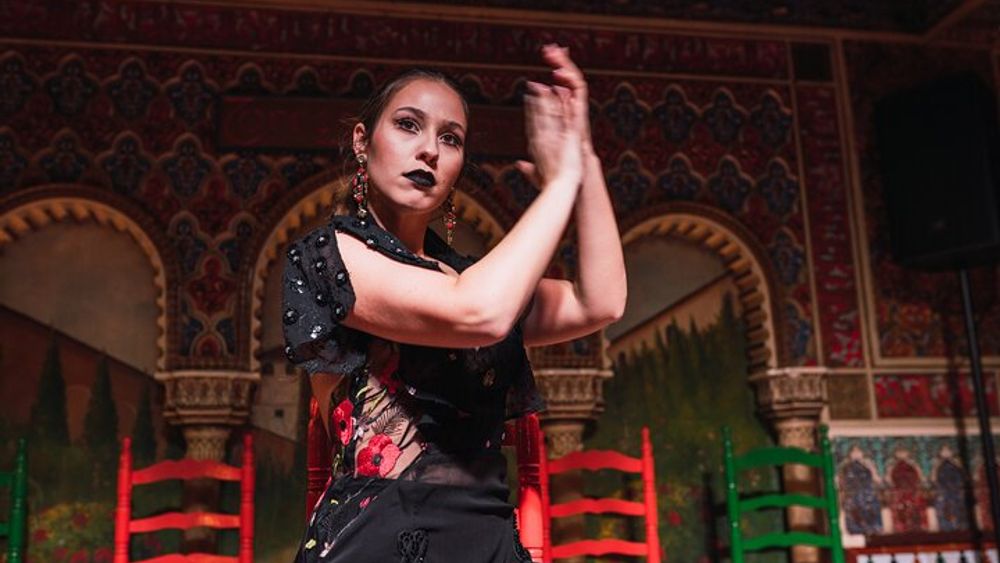Seville Evening Flamenco Dance and Music Performance