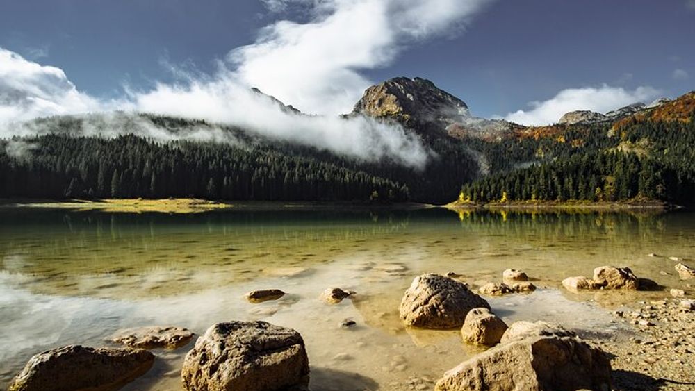 Montenegro: Black Lake and Tara Canyon Day Trip