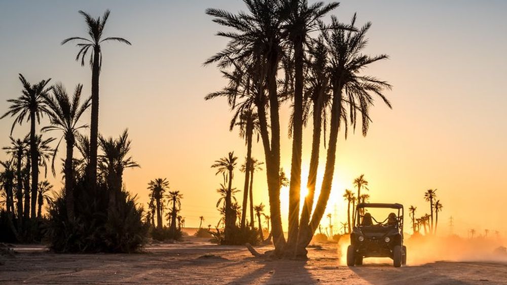 Marrakech Desert and Palm Grove Buggy Tour with Berber VIllage