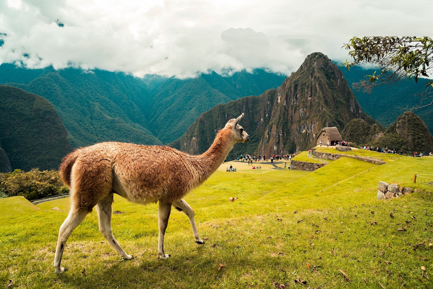 Peru