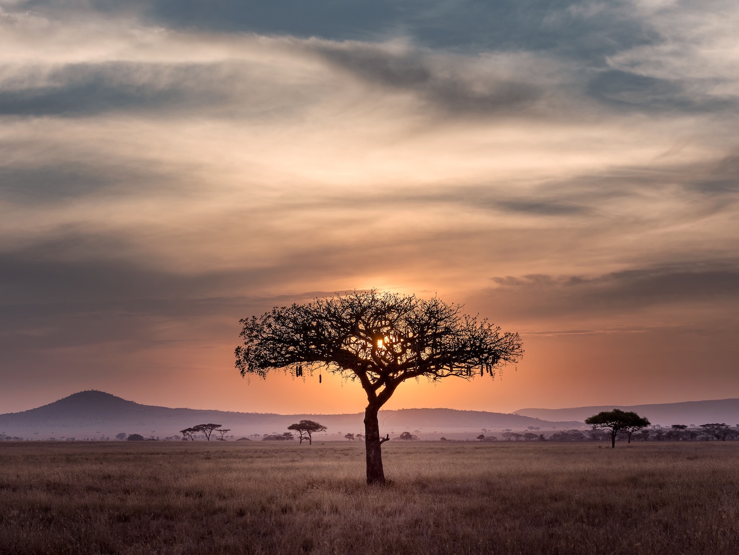 South Africa