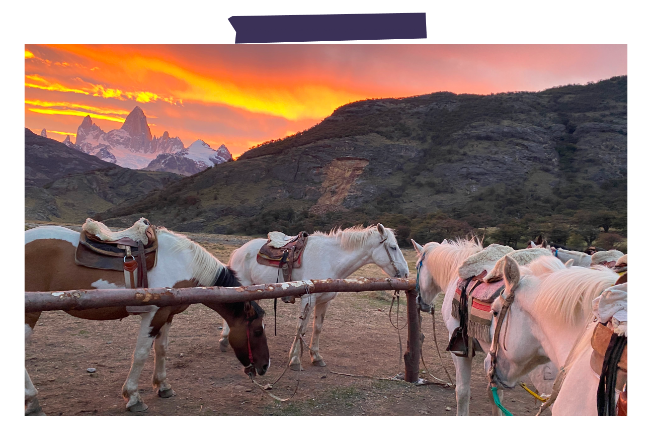 Horse Riding Experience Gifts