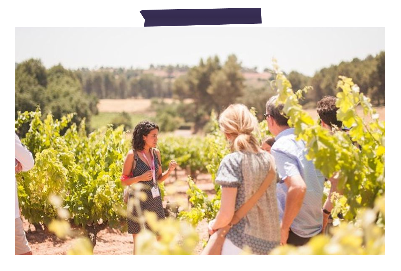 Wine Tasting Corporate Gifts