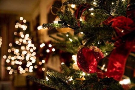 Exciting Christmas Gifts with Same Day Delivery 