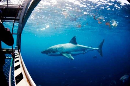 Top 5 Terrifying Experience Gifts For Thrill Seekers