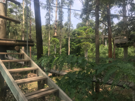 ThunderBird Park TreeTop Challenge Review